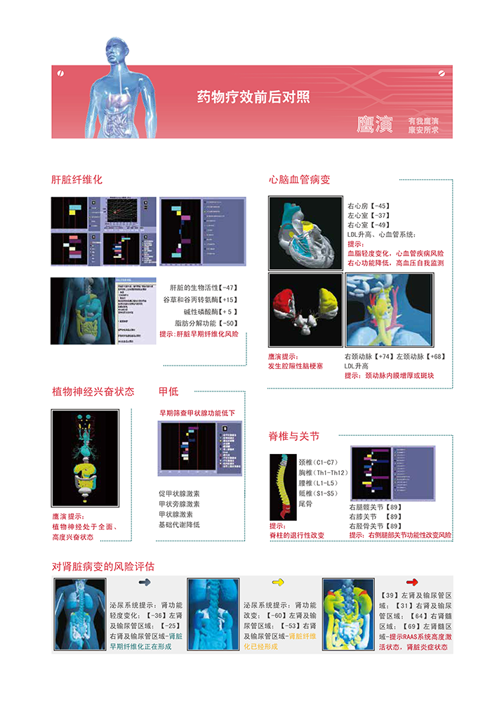 人体功能扫描仪产品报告