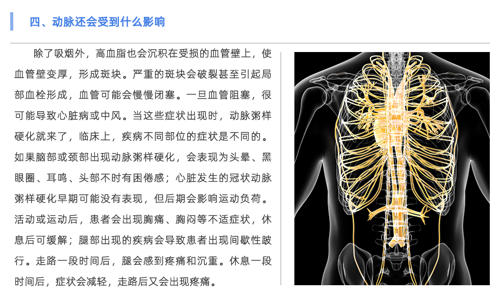 动脉硬化检测仪