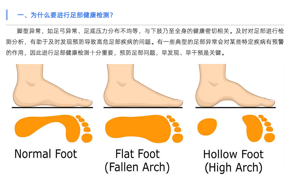 足底压力分析系统