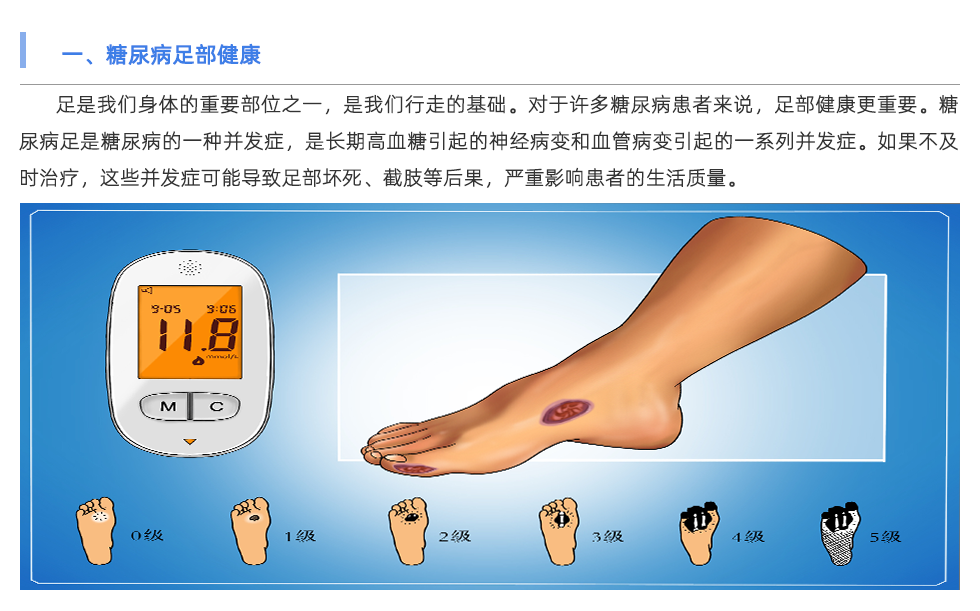 足底压力分析系统