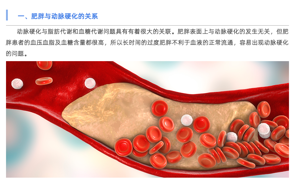 动脉硬化检测仪