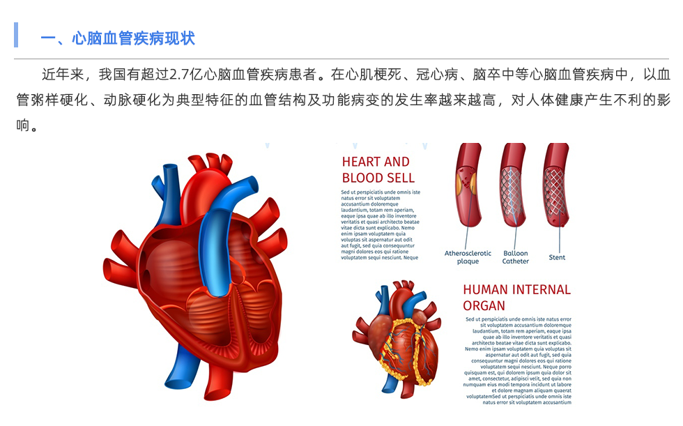 动脉硬化检测仪