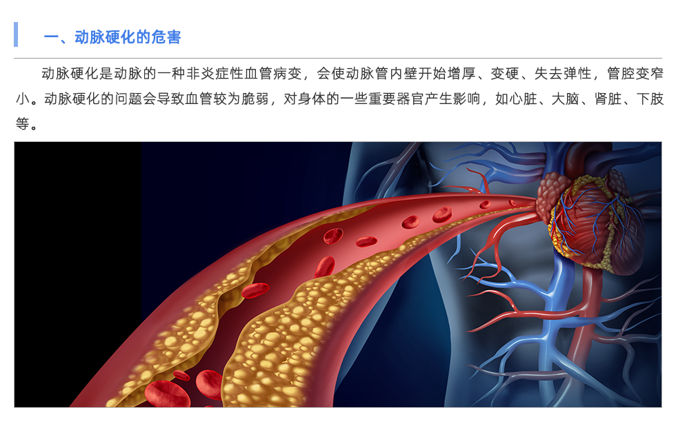 动脉硬化检测仪