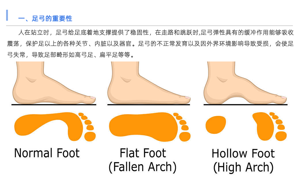 足底压力分析系统