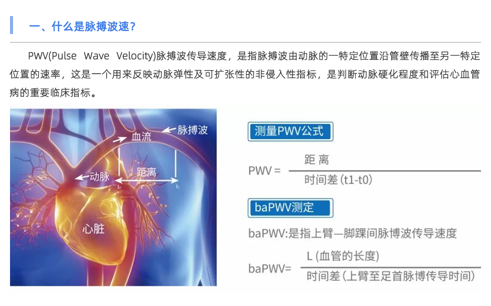 脉搏波速测定仪