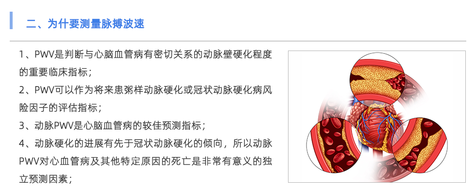 脉搏波速测定仪