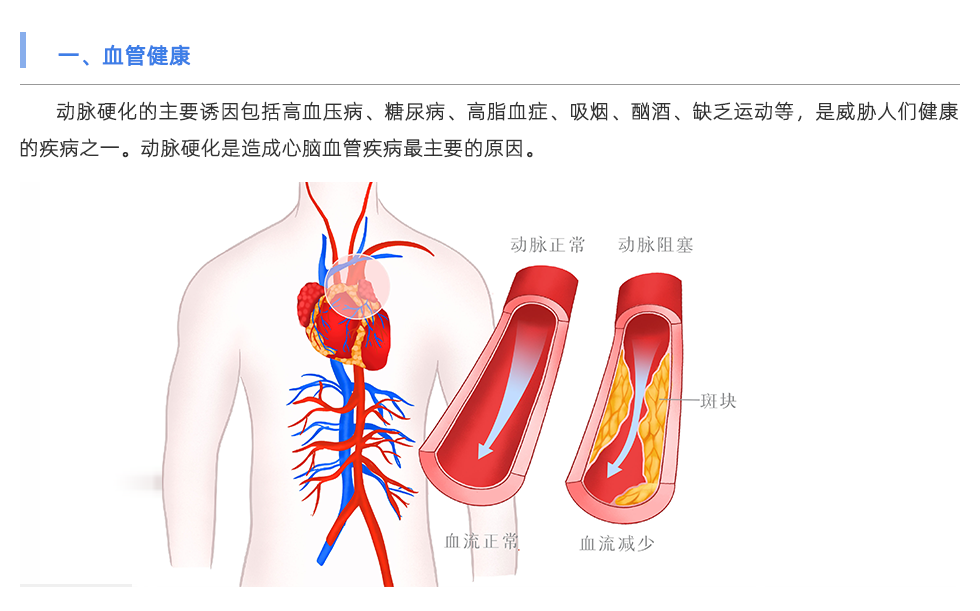 动脉硬化检测仪