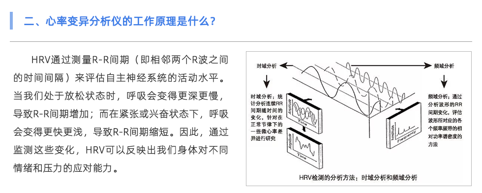 心率变异分析仪