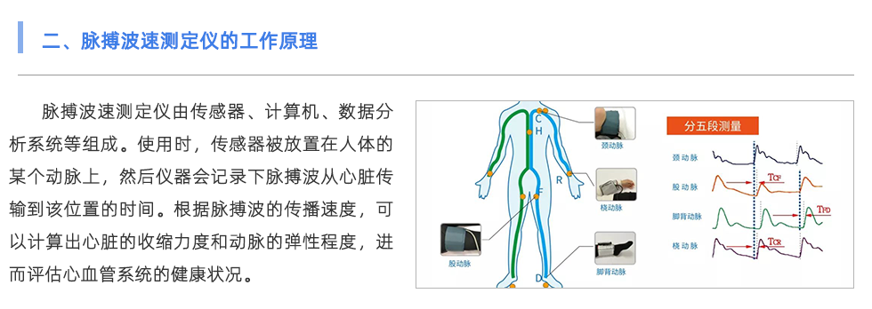 脉搏波速测定仪