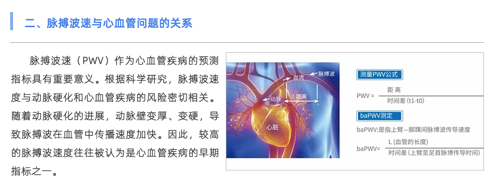 脉搏波速测定仪