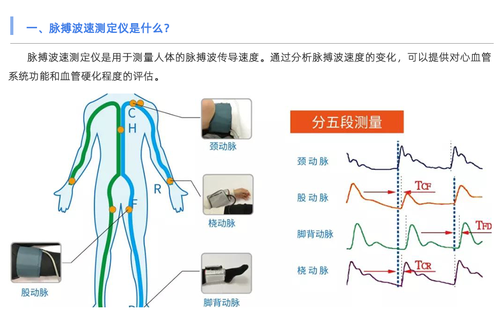 脉搏波速测定仪