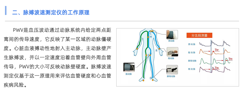 脉搏波速测定仪