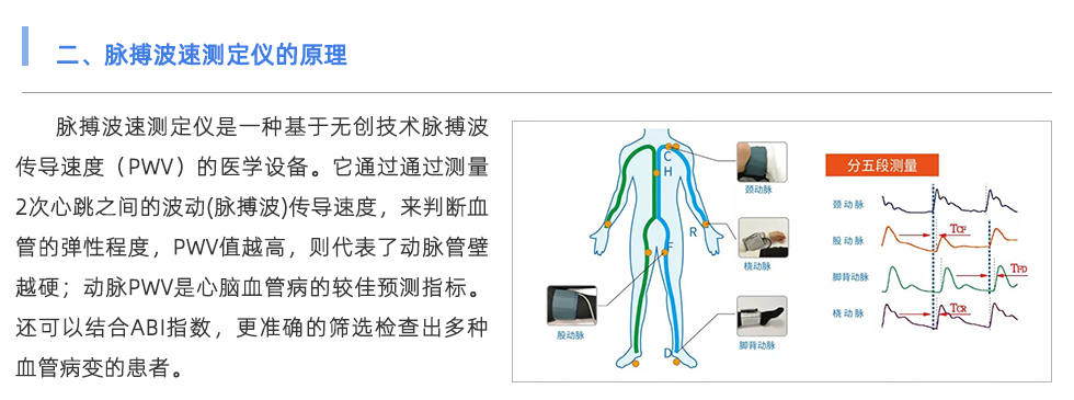 脉搏波速测定仪