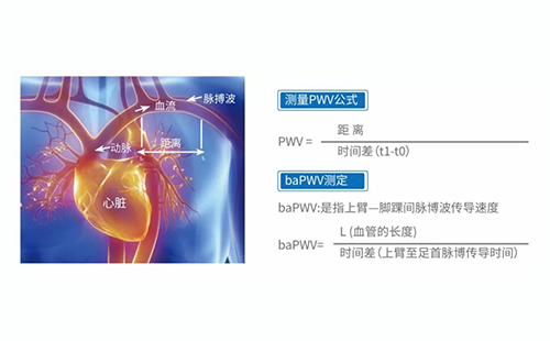 动脉硬化检测仪